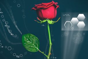 Bilim adamları bitkilerin içinde elektrik devreleri oluşturuyor