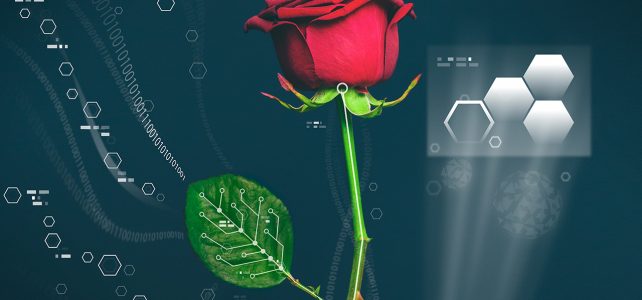 Bilim adamları bitkilerin içinde elektrik devreleri oluşturuyor