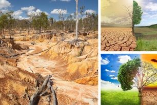 Tarımsal Sorunlara Genel Bir Bakış