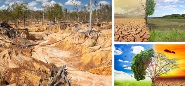 Tarımsal Sorunlara Genel Bir Bakış